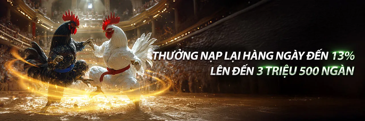 Trận đá gà trực tuyến kịch tính tại 99win Bet